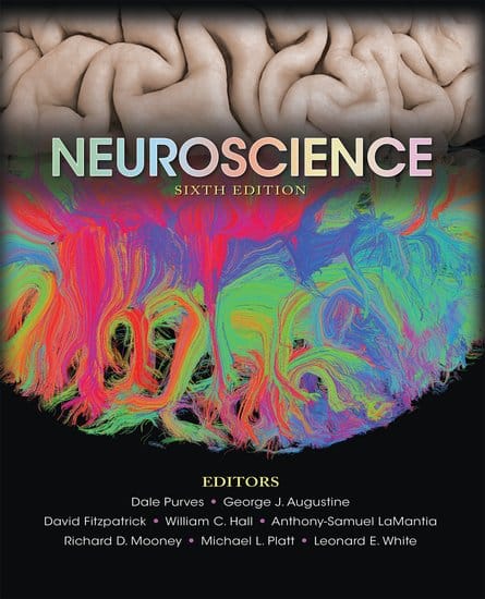 Prof. White's thoughts on the Sixth Edition of Neuroscience